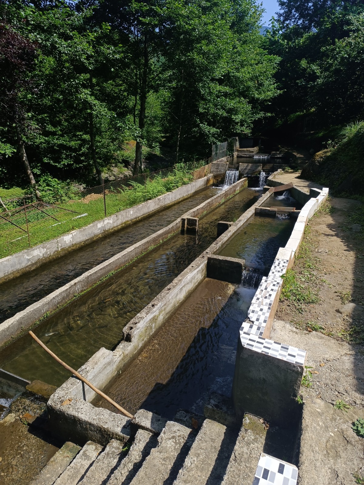 Фото экскурсии