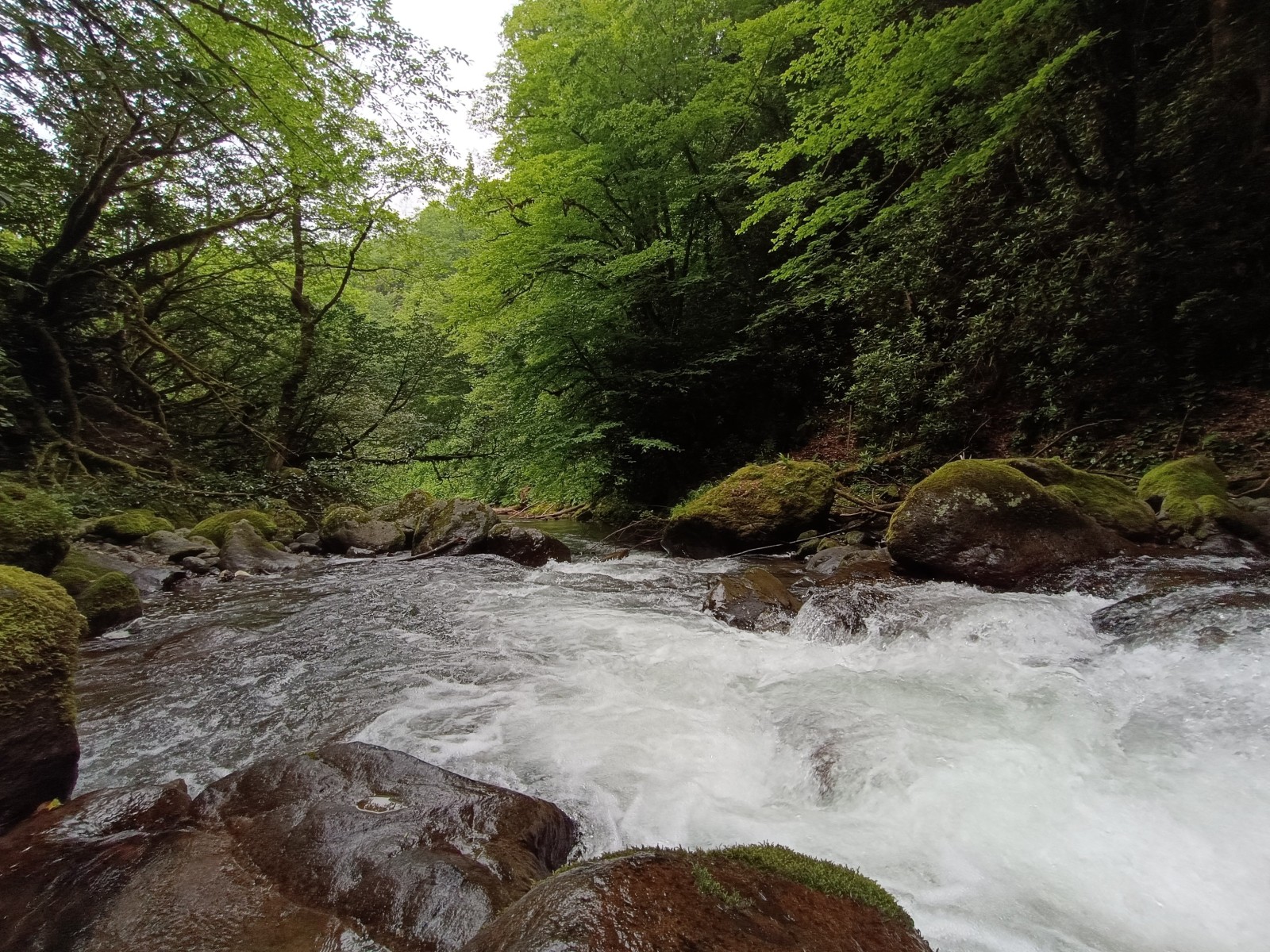 Фото экскурсии