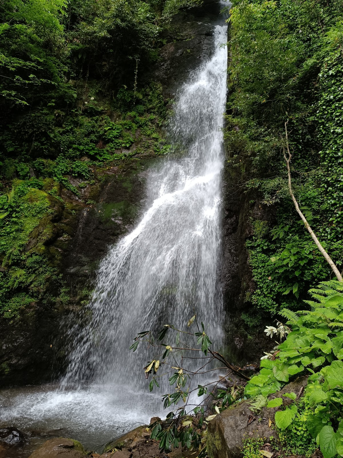 Фото экскурсии