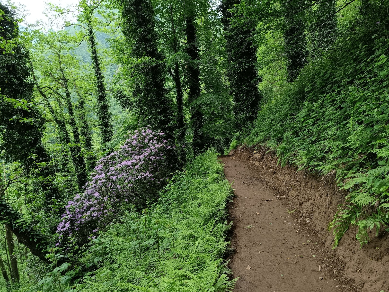 Фото экскурсии