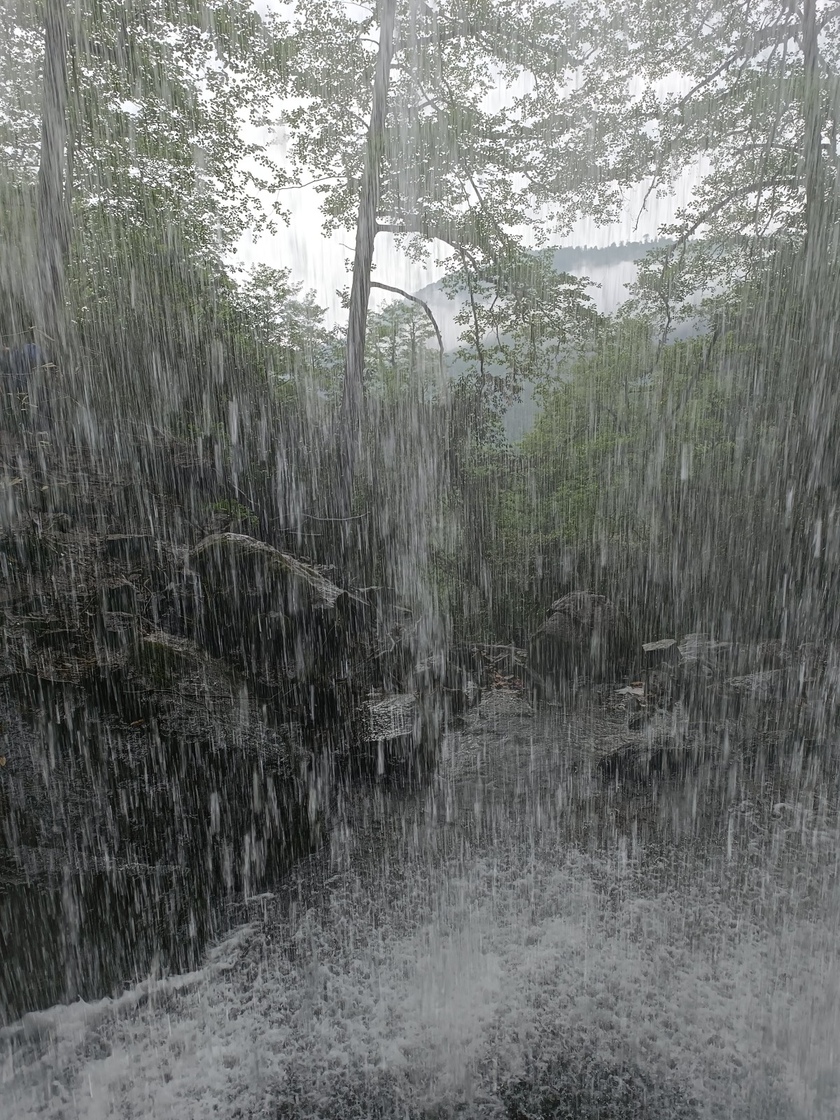 Фото экскурсии