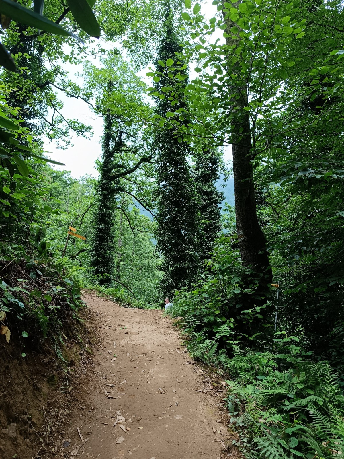 Фото экскурсии