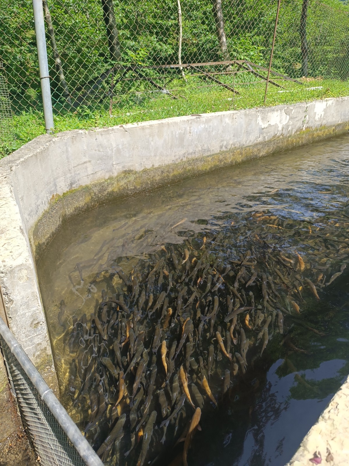 Фото экскурсии