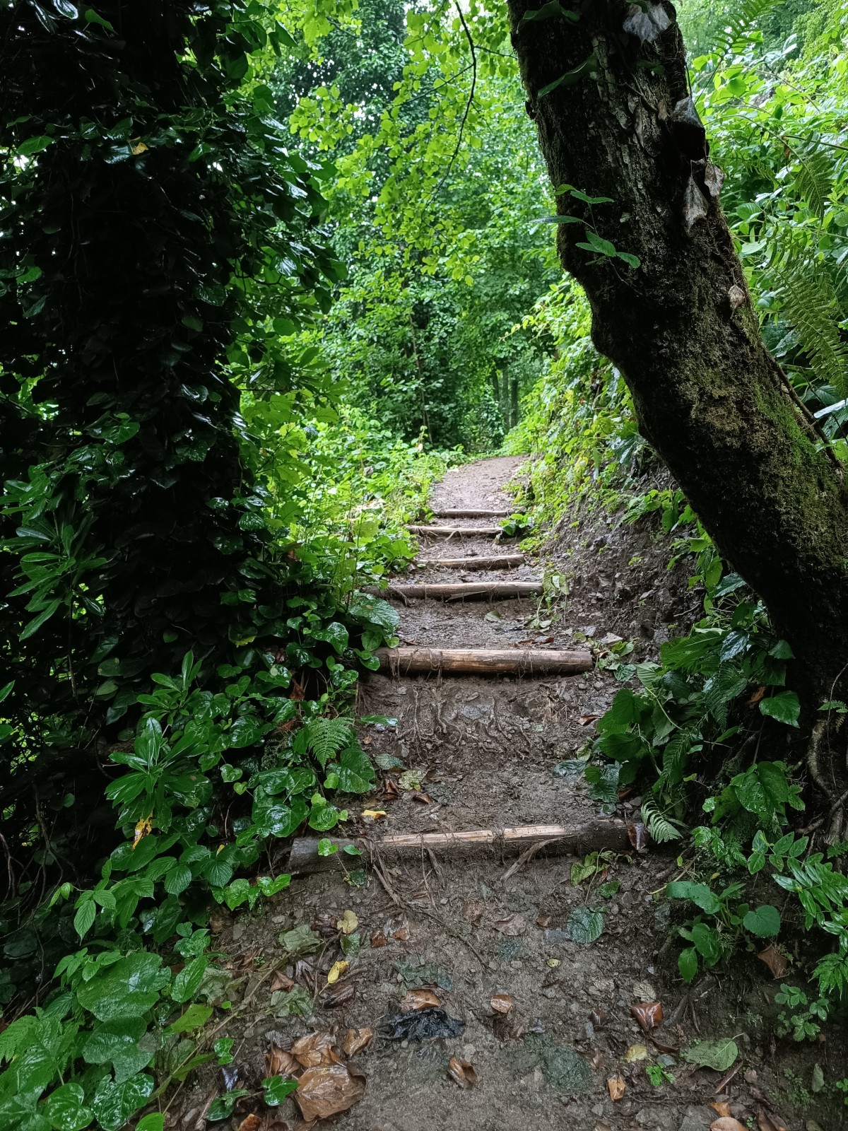 Фото экскурсии