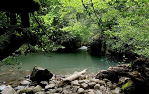 Грузинские джунгли - Национальный парк Мтирала