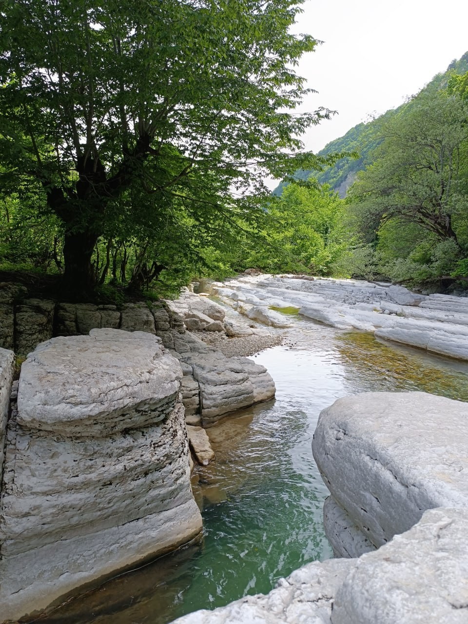 Фото экскурсии