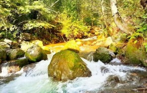 Рыбалка на форель в горной Аджарии