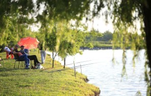 Рыбалка на «Золотом озере»