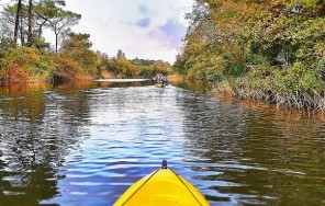Каякинг и Велопрогулка По Колхидскому Национальному Парку