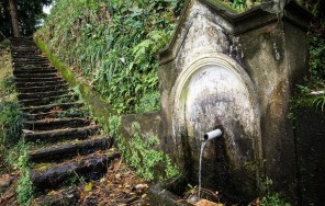 Зеленый мыс. Батумский Ботанический сад. Растения и цветы в мифах народов мира