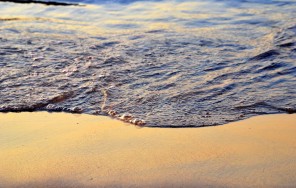 Живая математика. Природа. Море. Архитектура