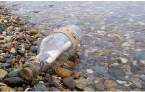 Тайна клада Старого пирата