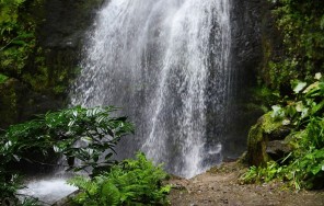 Горная рапсодия на склонах горы Мтирала