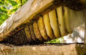 Аджария: отдыхай как местный