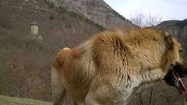 Фото экскурсии