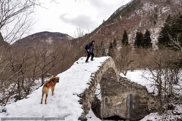 Фото экскурсии