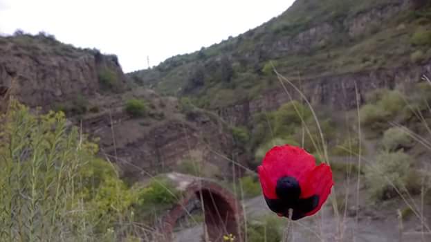 Фото экскурсии