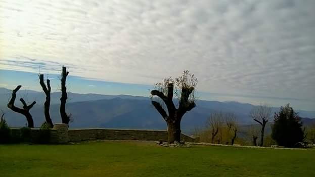 Фото экскурсии