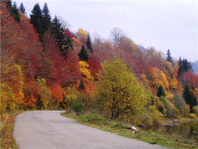 Фото экскурсии