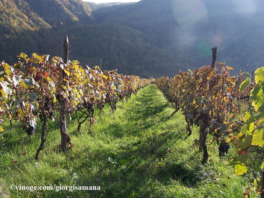 Фото экскурсии