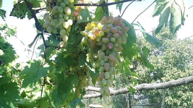 Фото экскурсии