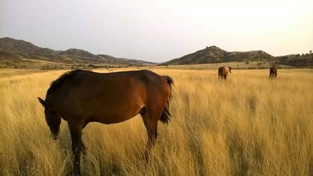 Фото экскурсии
