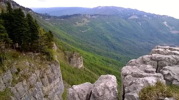 Фото экскурсии