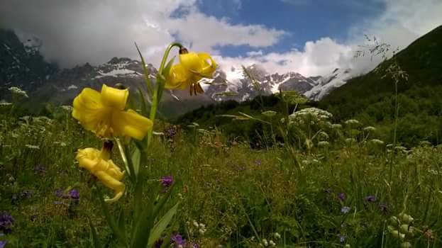 Фото экскурсии