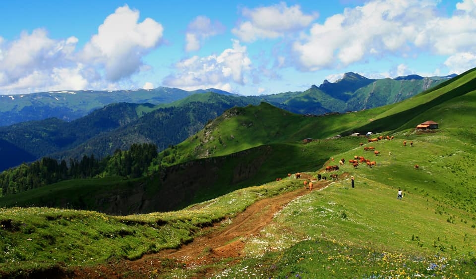 Фото экскурсии