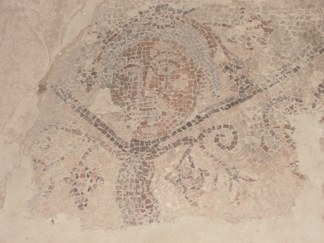 Фото экскурсии