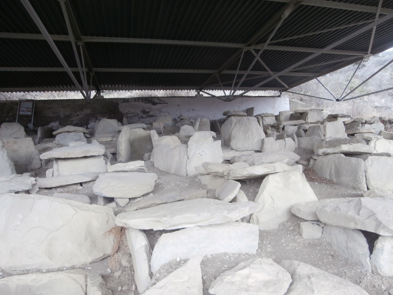 Фото экскурсии