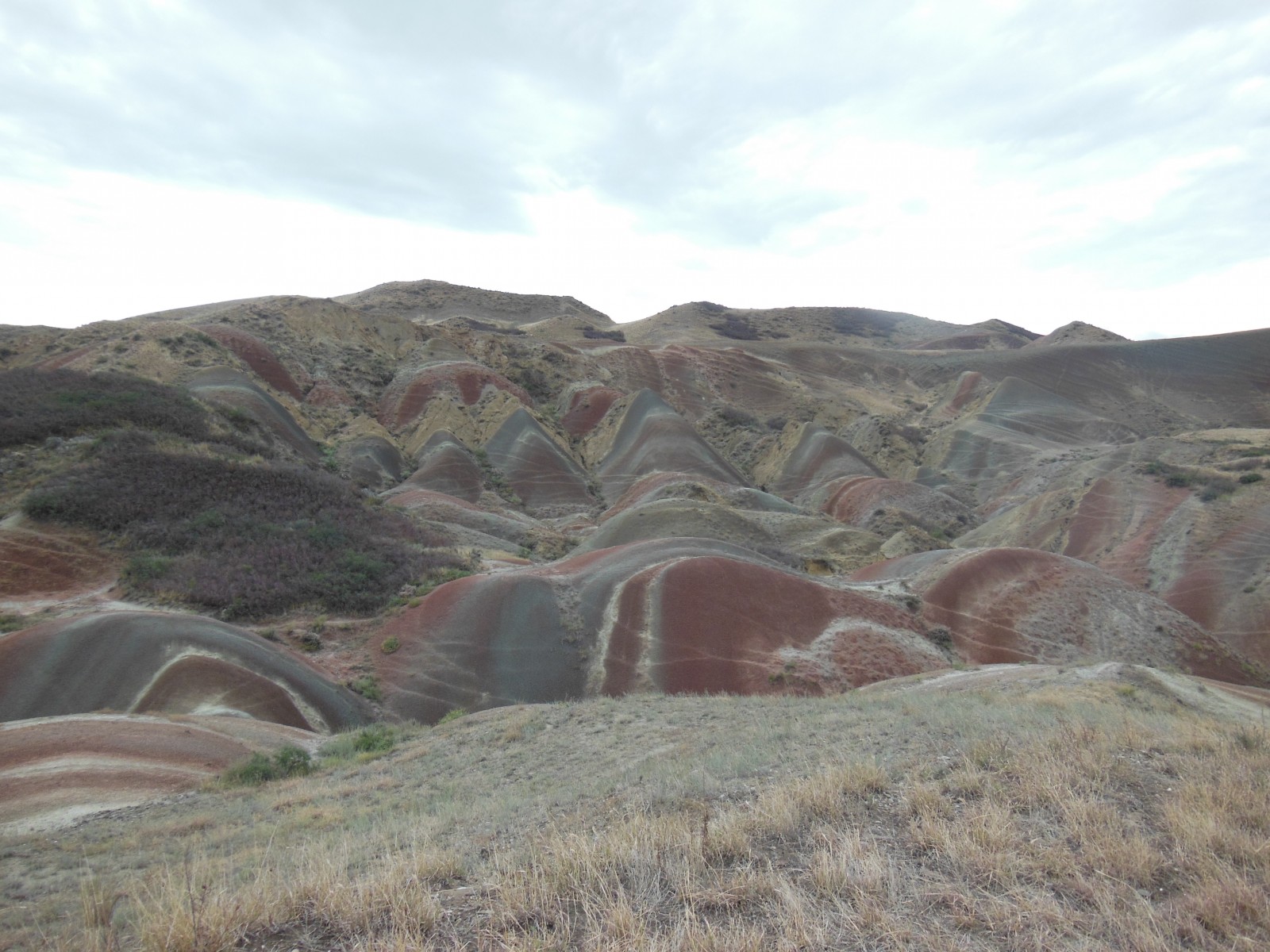 Фото экскурсии