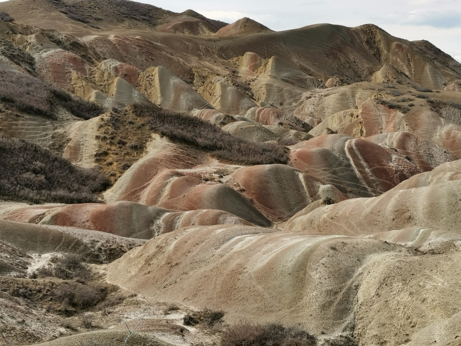 Фото экскурсии