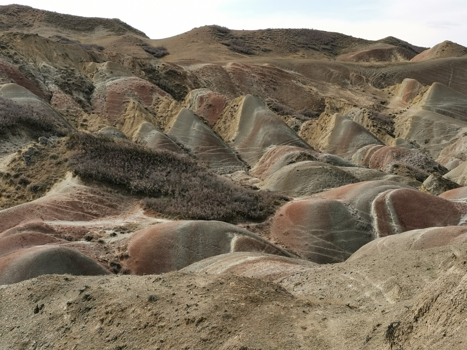 Фото экскурсии