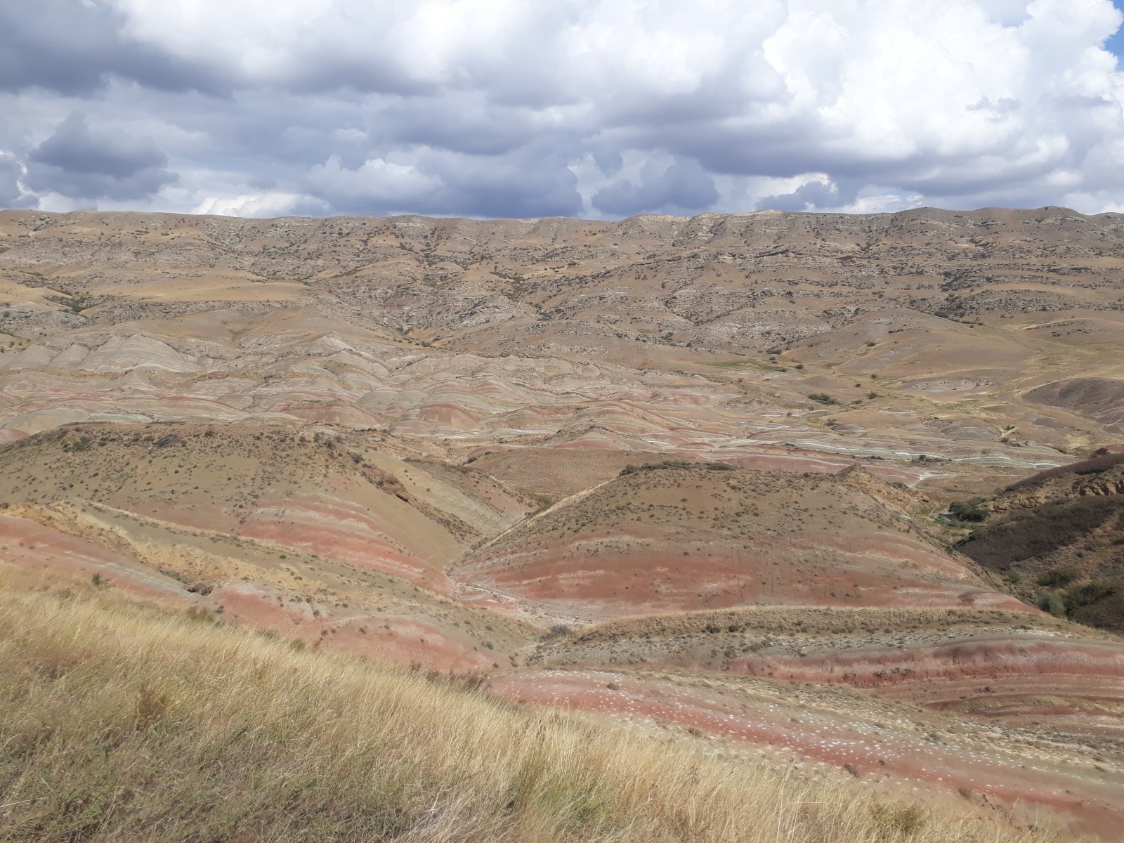 Фото экскурсии