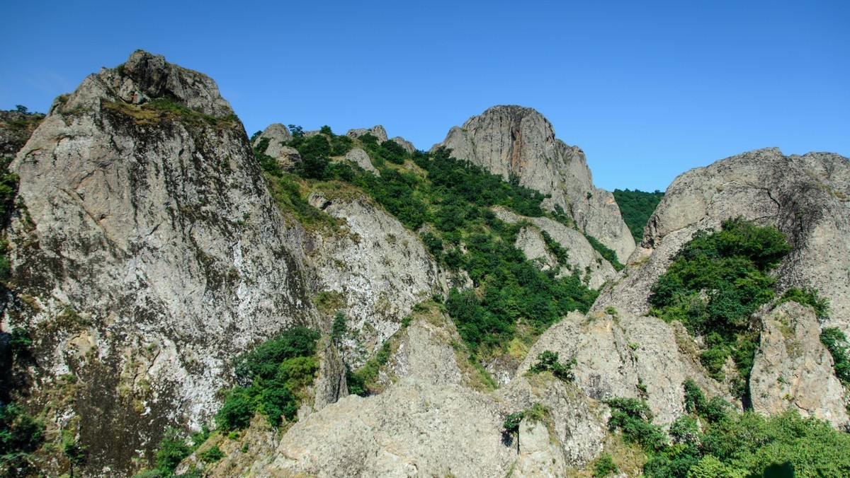 Фото экскурсии