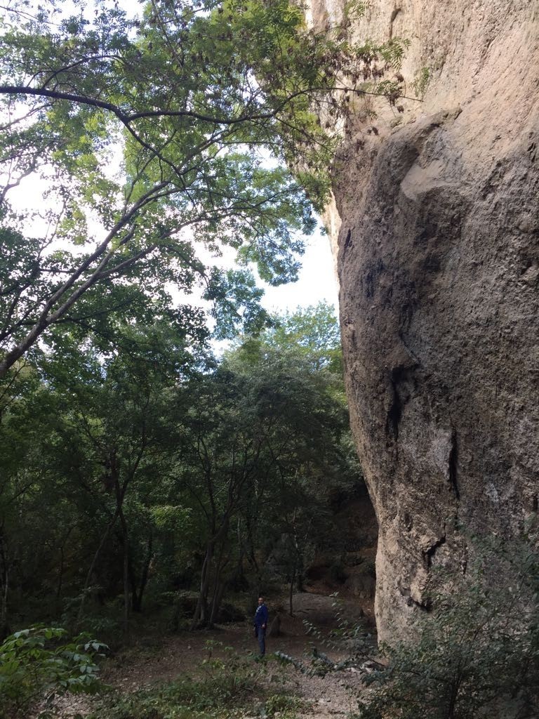 Фото экскурсии