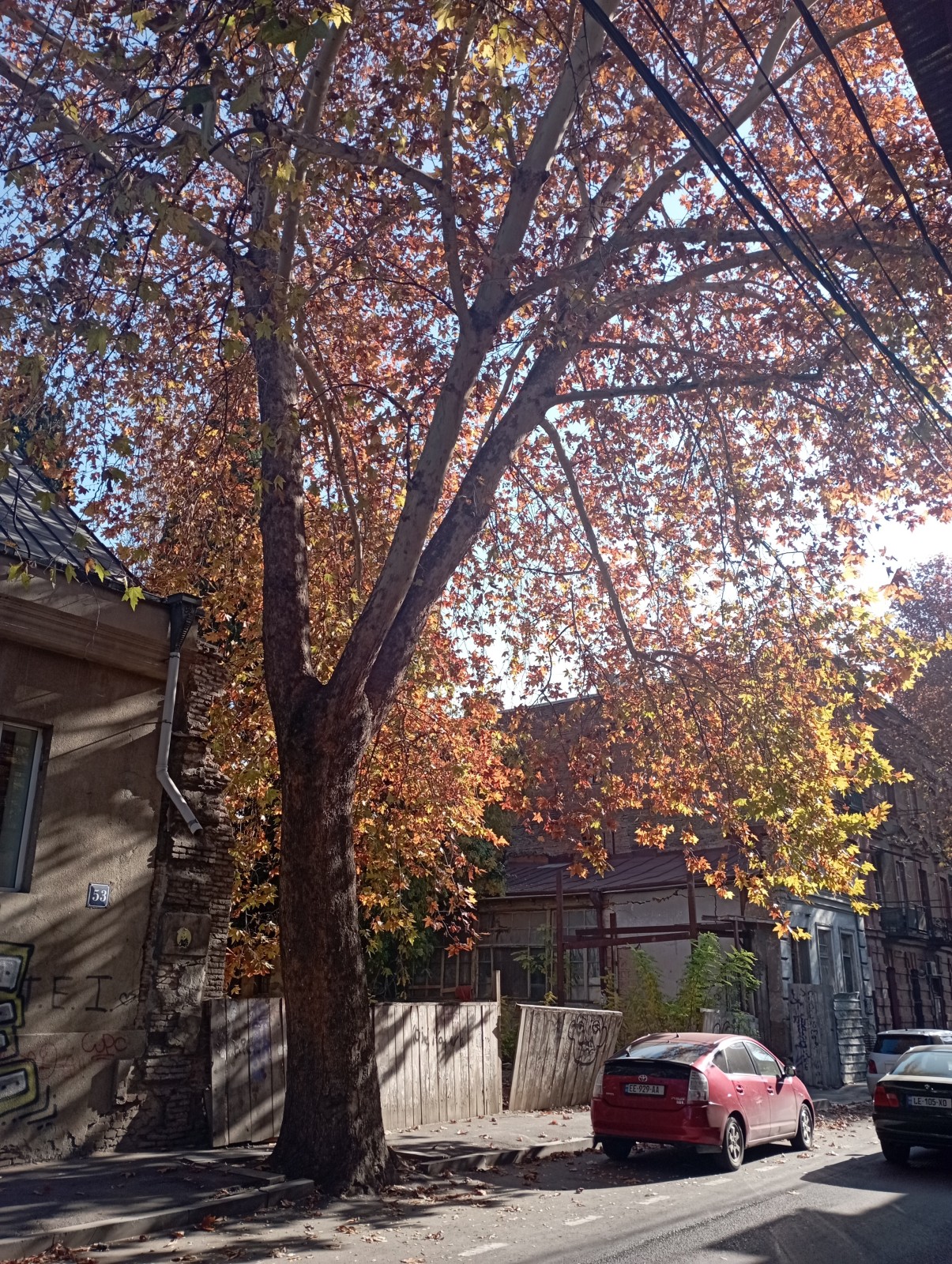 Фото экскурсии