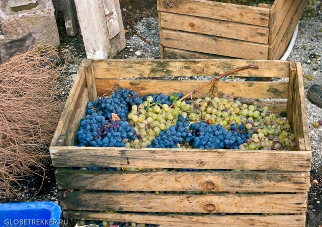 Фото экскурсии