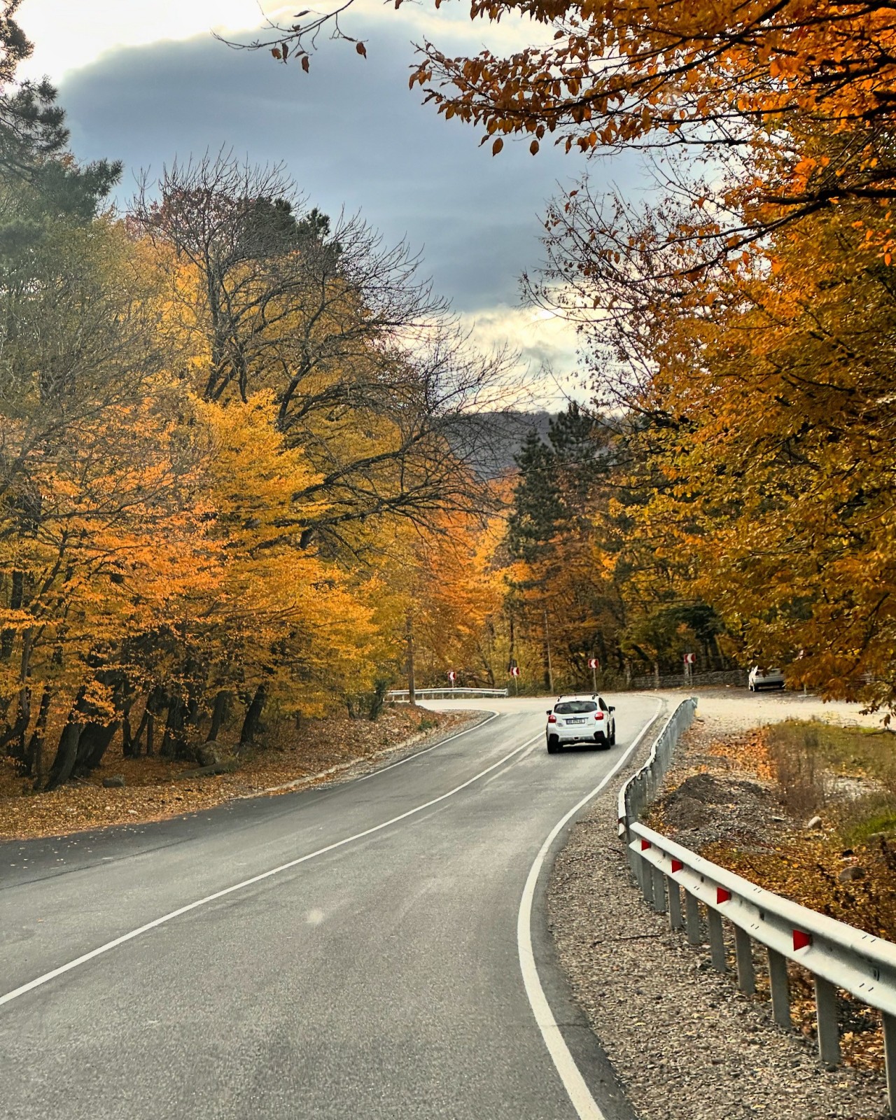 Фото экскурсии