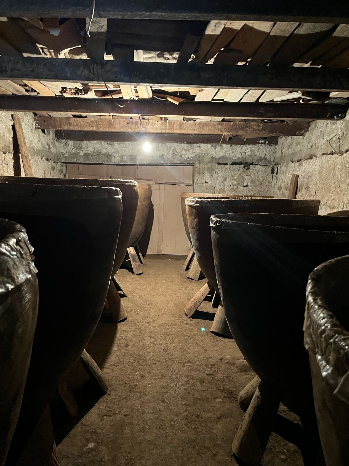 Фото экскурсии