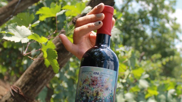 Фото экскурсии