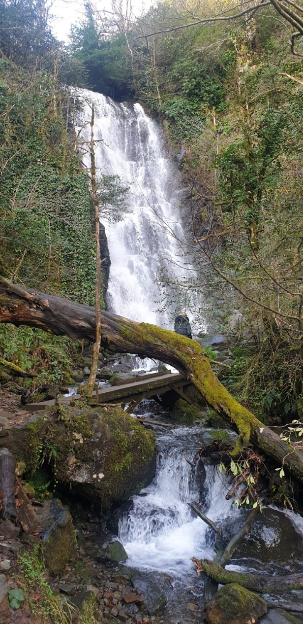 Фото экскурсии