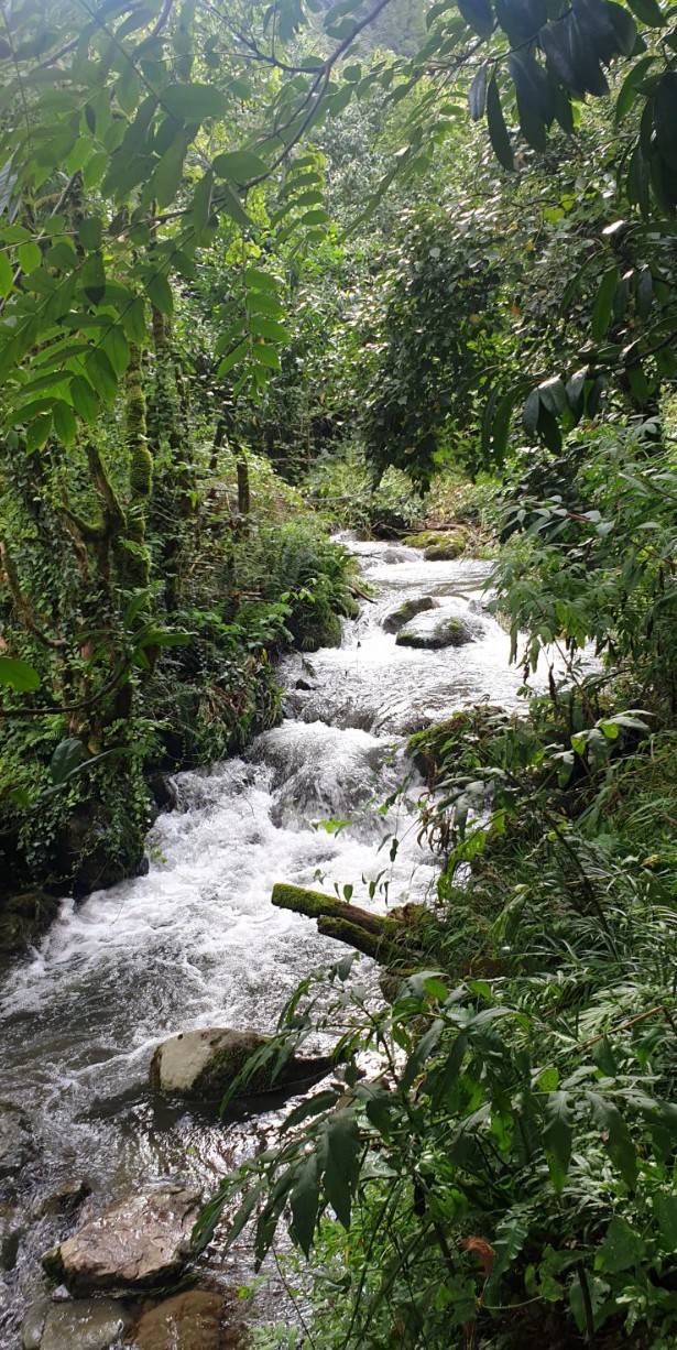 Фото экскурсии