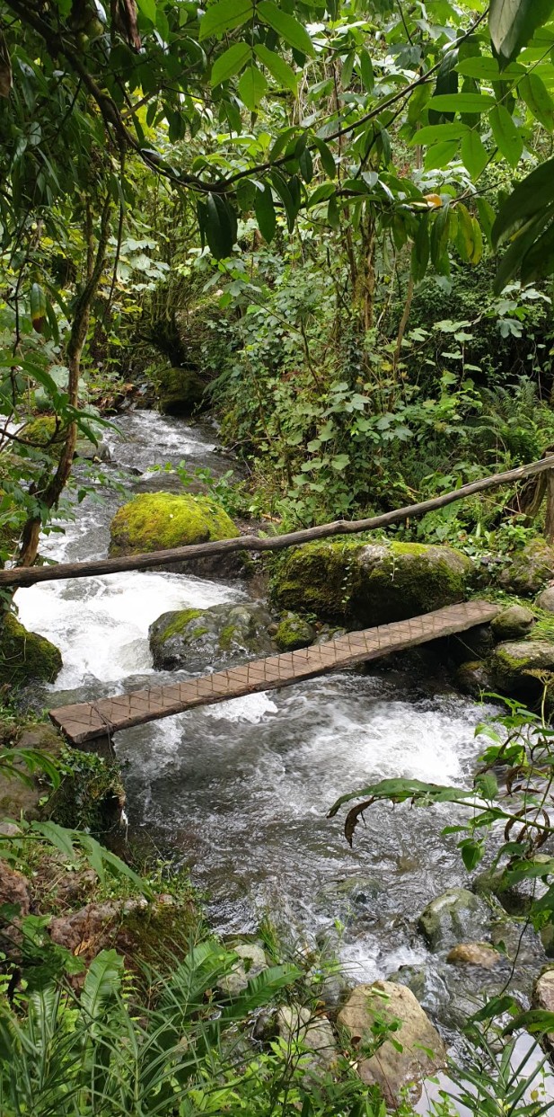 Фото экскурсии