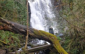 Высокогорная Аджария