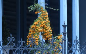 Индивидуальный автотур «Боржоми — Рабат — Вардзия» из Тбилиси