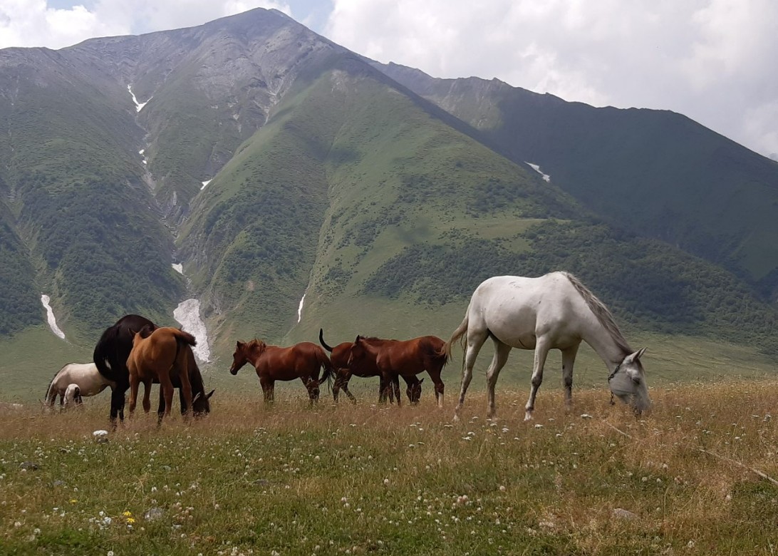 Фото экскурсии