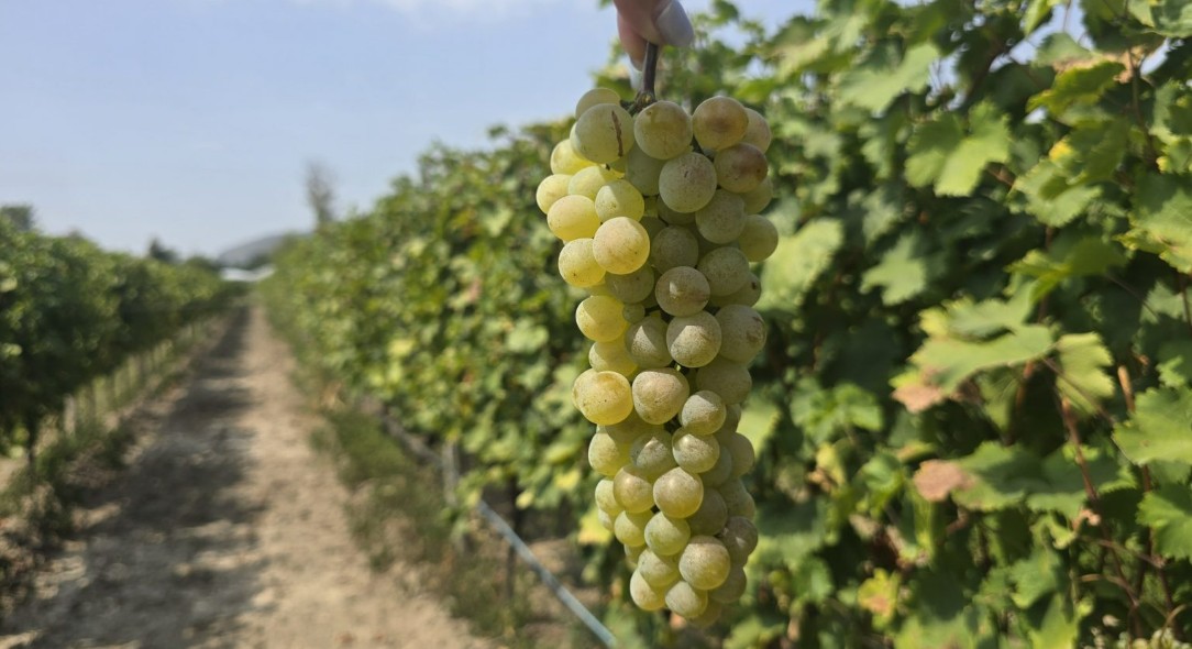 Фото экскурсии