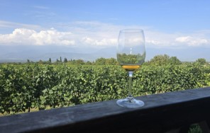 Винный путь Кахетии: от истории к гастрономии!